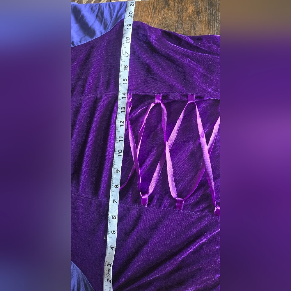 Purple Renaissance Fantasy Halloween Costume Size M/L - Picture 7 of 7